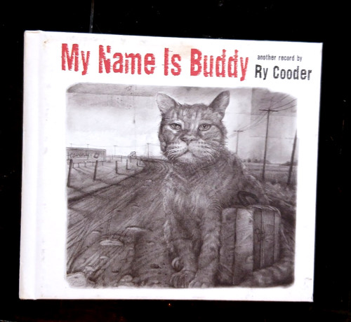 Cooder name is buddy - ry,
